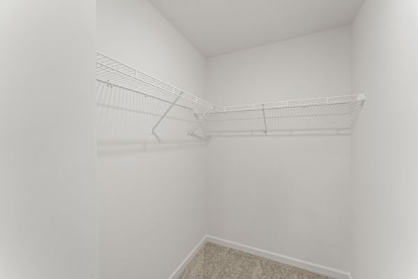 404 Bluegrass Lane photo 13